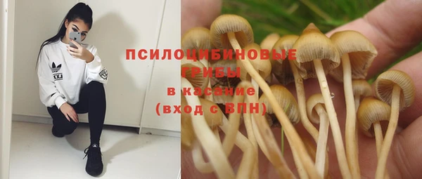 не бодяженный Богородицк