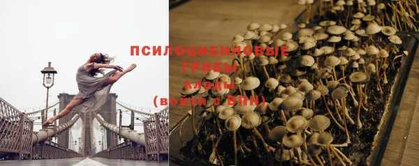 a pvp Богданович